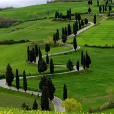 Ooty Hill Station Tour