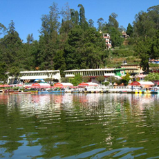 Ooty – Kodaikanal Tour Package