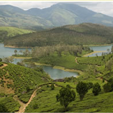 Yelagiri – Yerkad Tour Package